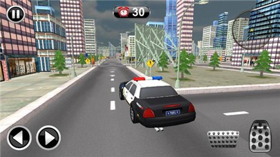 纽约警车大战2021游戏下载安卓版