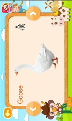 大白鹅模拟器手机版下载中文