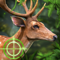 猎鹿动物狩猎游戏
