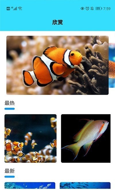 我爱养鱼app最新版下载