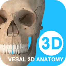 维萨里3D解剖app