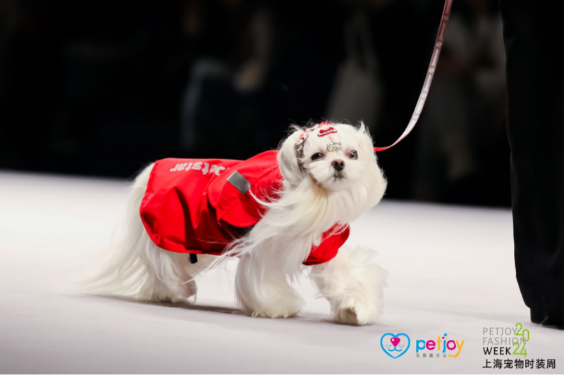 2024上海宠物时装周圆满收官  Petstar全维展示人宠时尚生活